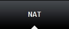 NAT