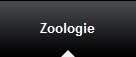 Zoologie